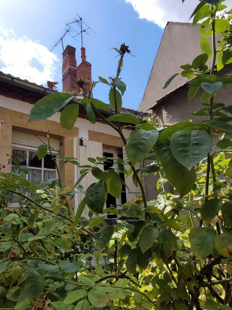 Immeuble 119 m² - Photo 1
