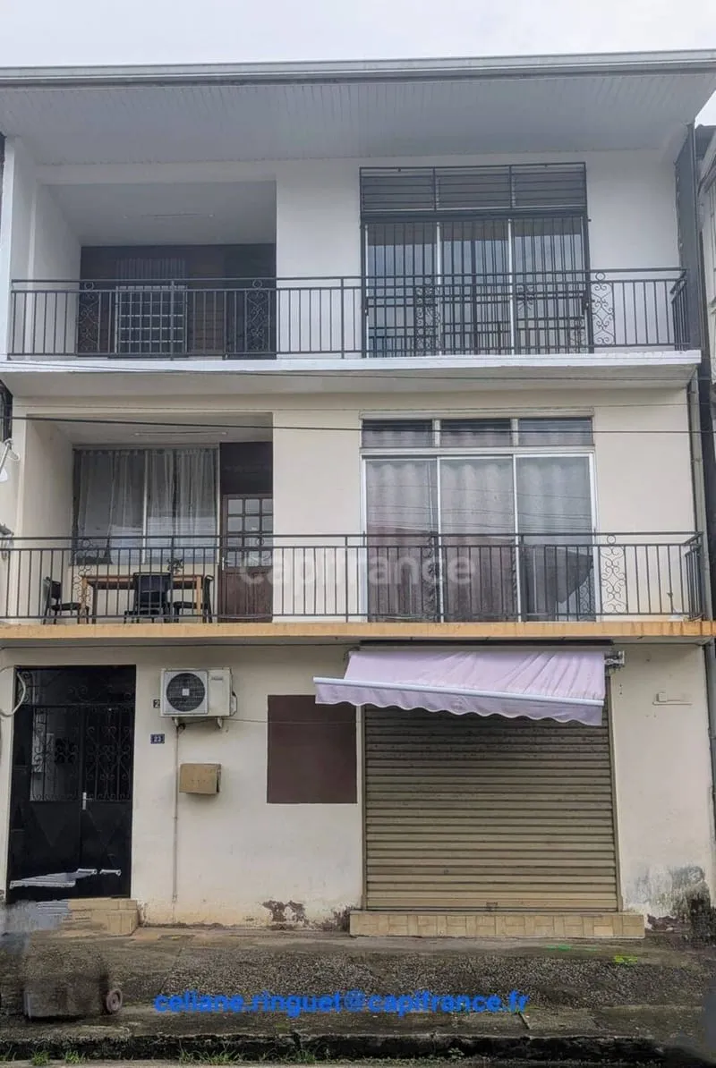 Immeuble de rapport 247 m² - Photo 1