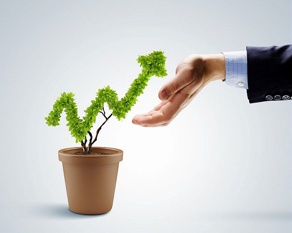 Comment rentabiliser chaque euro investi dans l’immobilier locatif ?